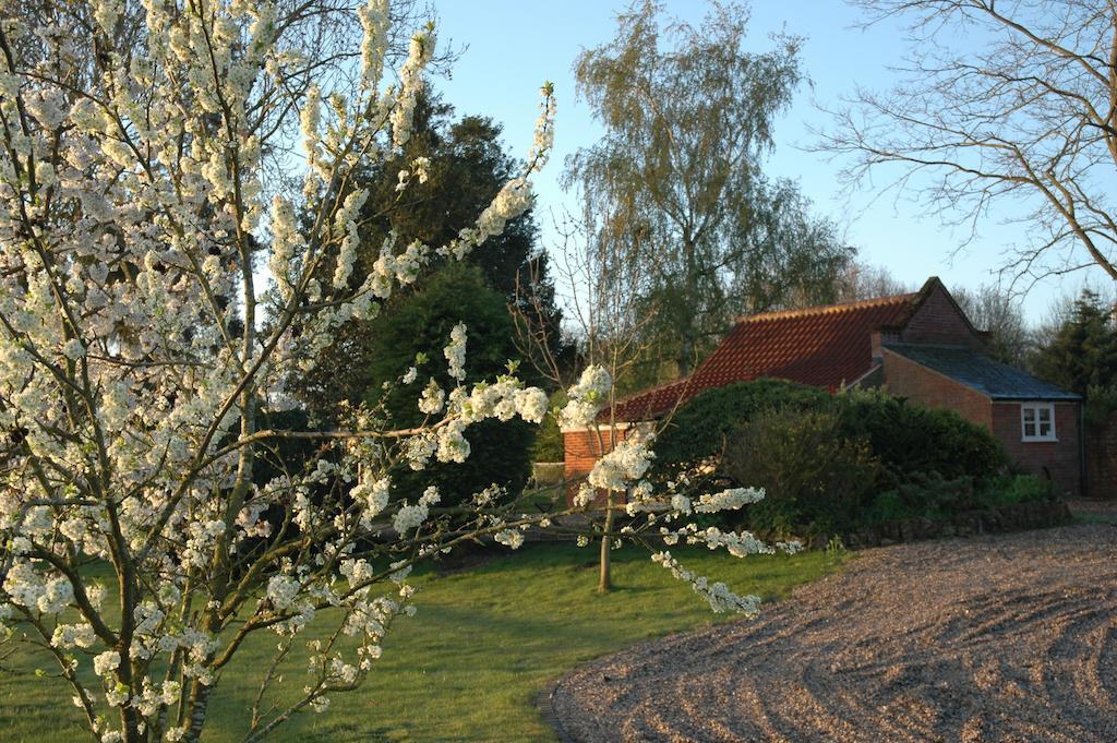 Field Cottage Bed And Continental Breakfast East Harling ห้อง รูปภาพ